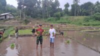 IMG-20250407-WA0030
