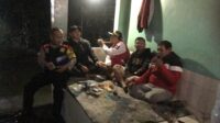 1cd0a256-46b3-4150-8f91-7de592fe3dc1