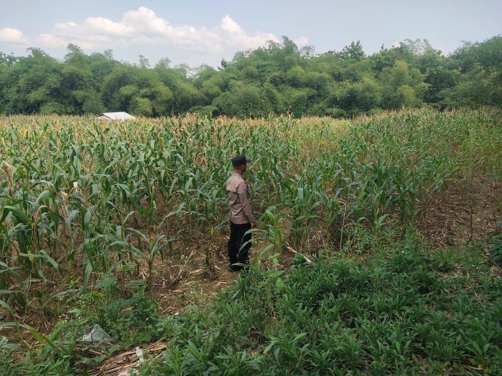 88c4b51a-c3d9-4830-9141-8bd08c544aea