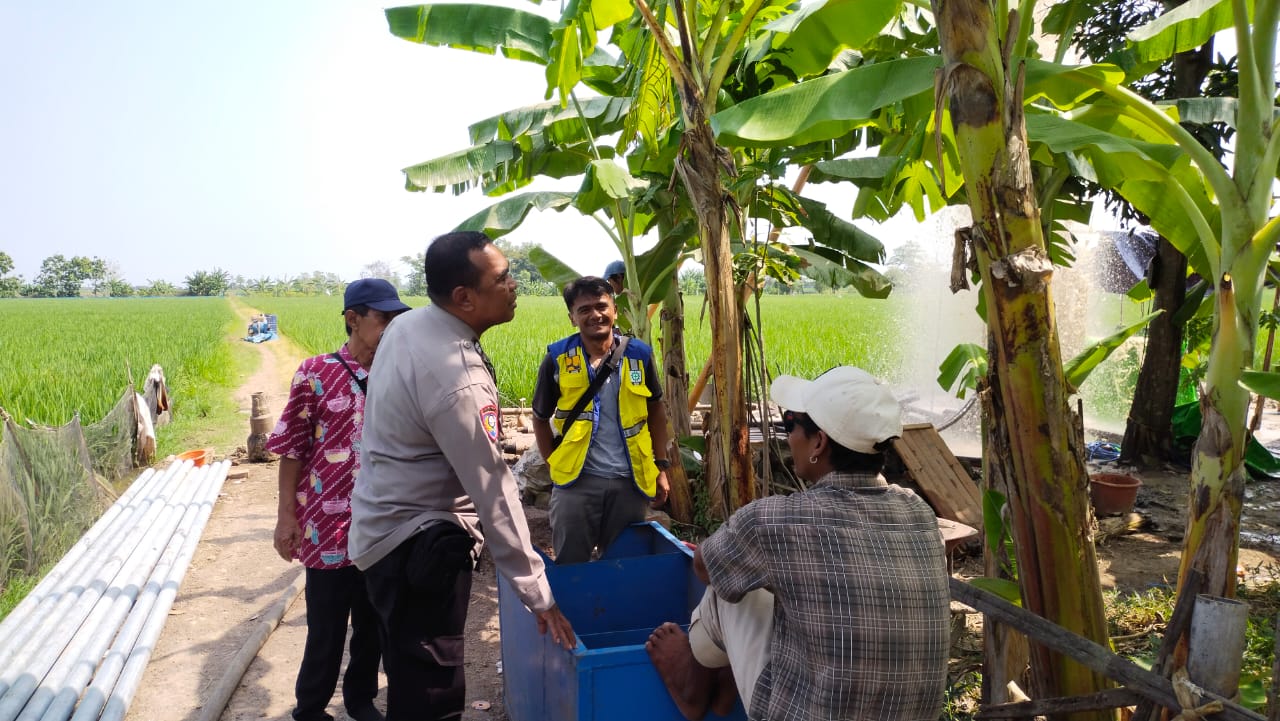 WhatsApp Image 2025-07-11 at 09.18.33