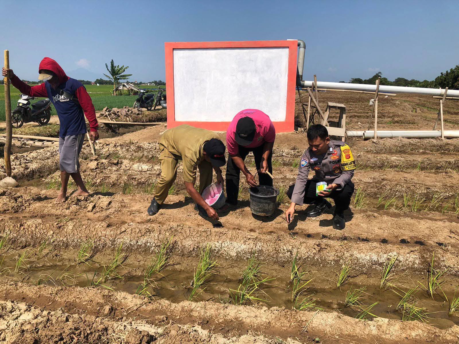 WhatsApp Image 2025-07-21 at 10.57.06