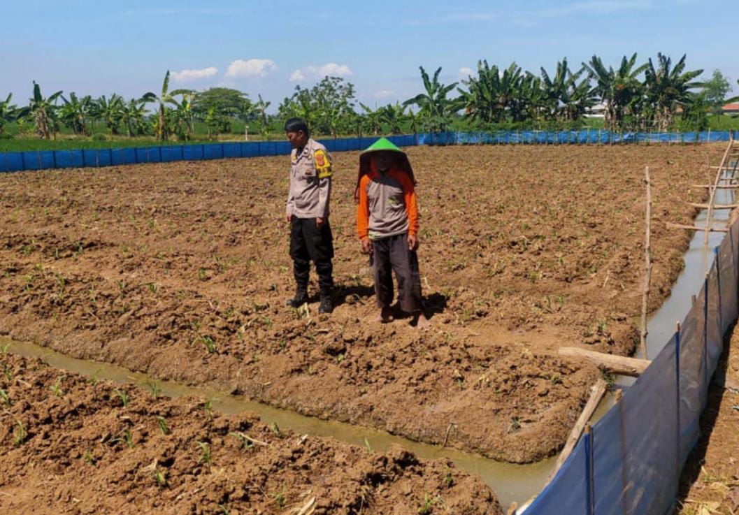 WhatsApp Image 2025-07-23 at 11.55.50