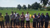 WhatsApp Image 2025-08-07 at 16.59.11
