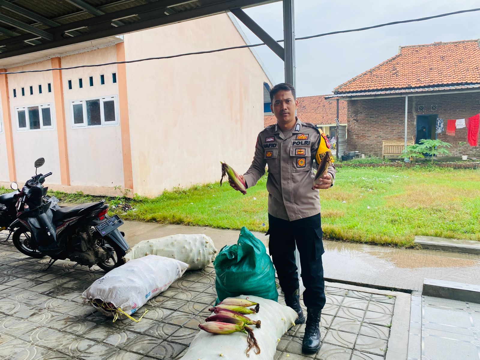 WhatsApp Image 2025-08-13 at 09.59.57