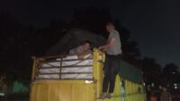 WhatsApp Image 2025-08-17 at 08.47.03