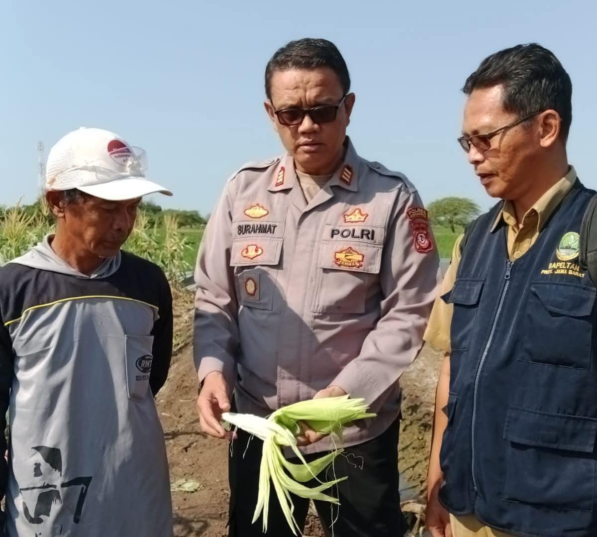 WhatsApp Image 2025-08-22 at 12.29.38