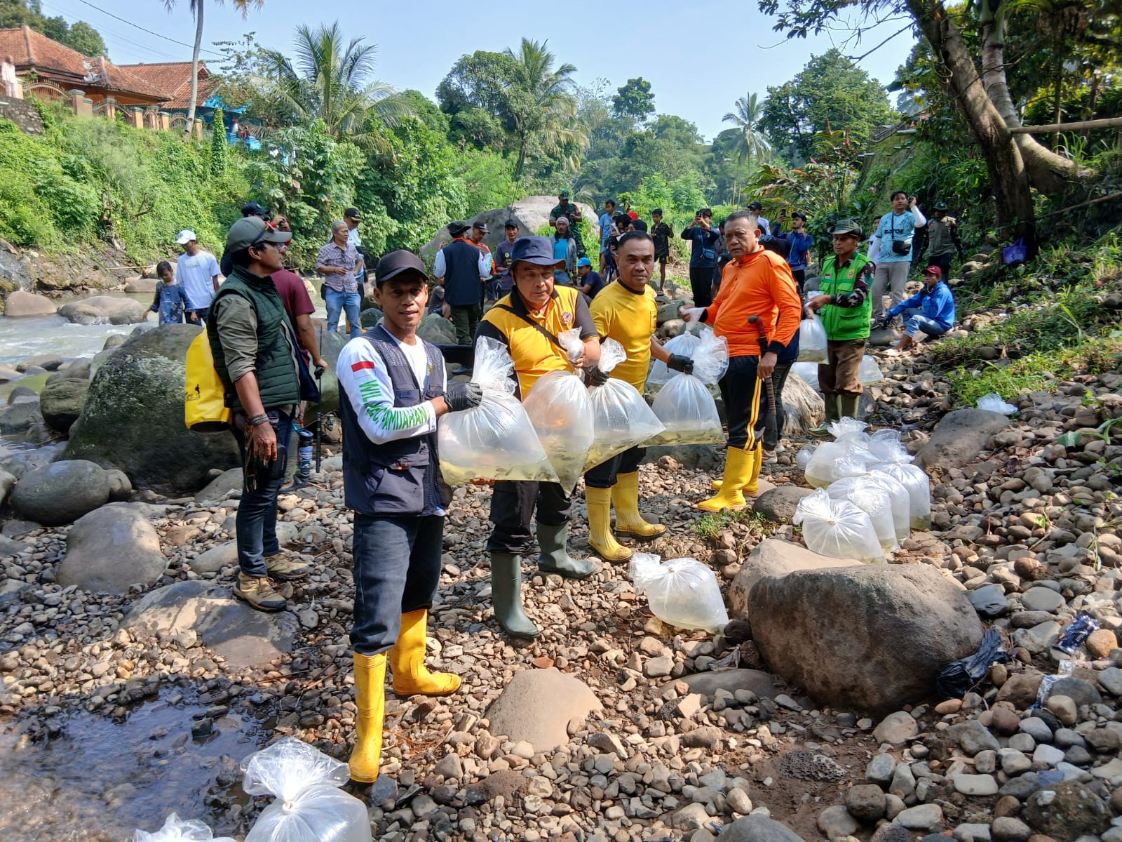 5369aa81-f798-499d-a3ad-64bd40cdab9e