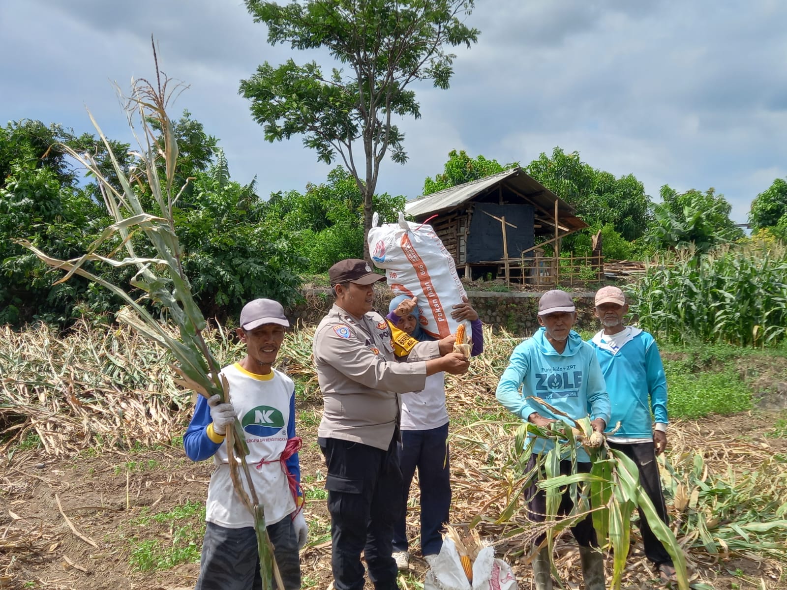 WhatsApp Image 2025-09-04 at 11.31.46 AM