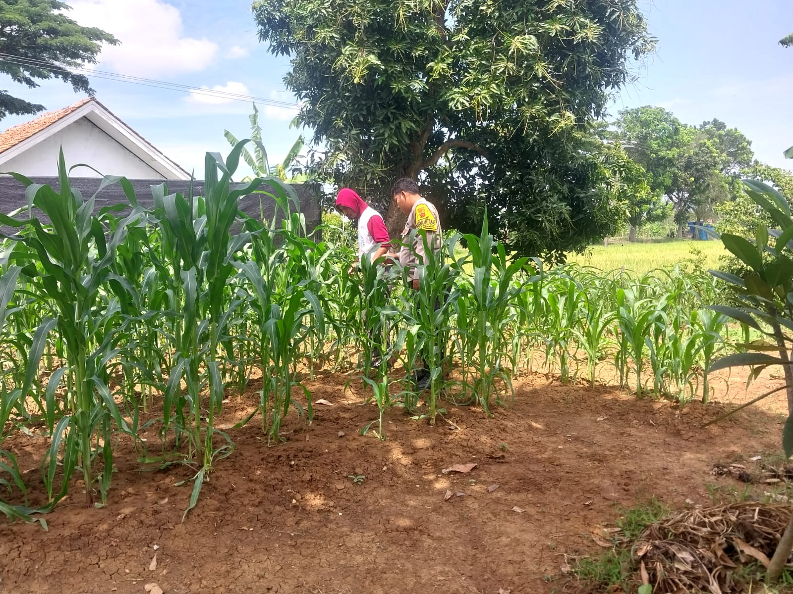 WhatsApp Image 2025-09-08 at 10.37.45