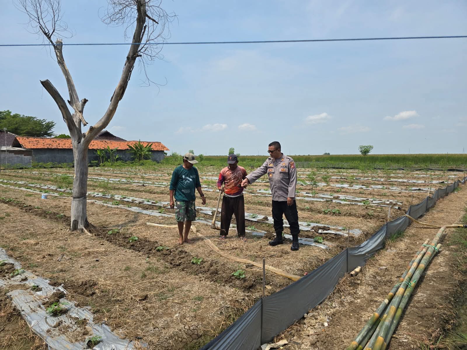 WhatsApp Image 2025-09-10 at 10.32.18