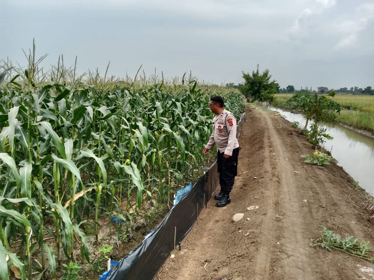 WhatsApp Image 2025-09-19 at 13.29.37