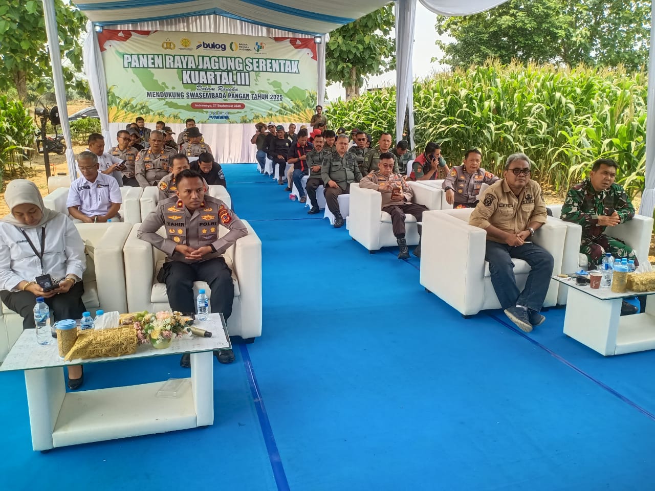 WhatsApp Image 2025-09-27 at 19.19.51