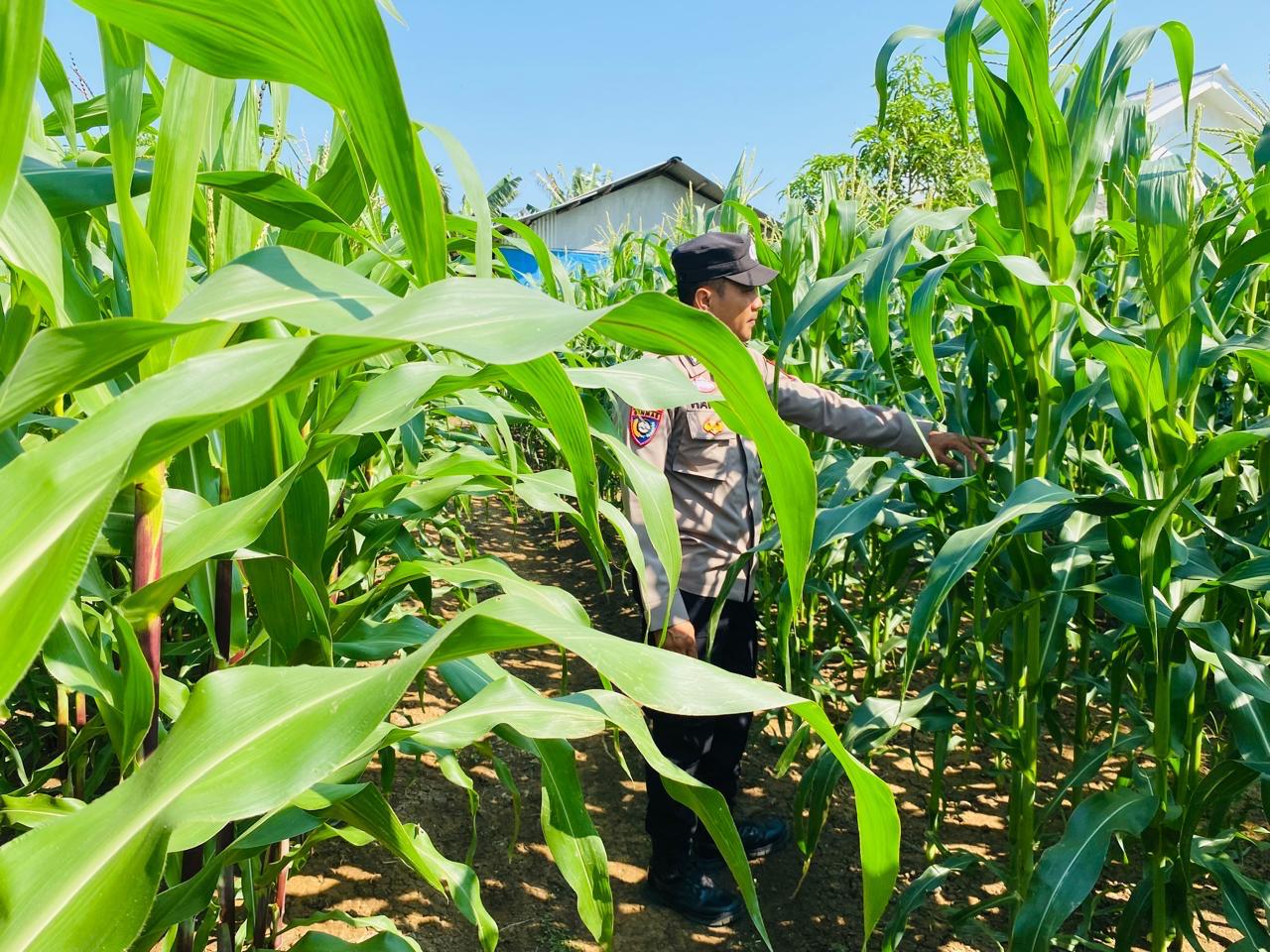 WhatsApp Image 2025-09-29 at 14.45.08