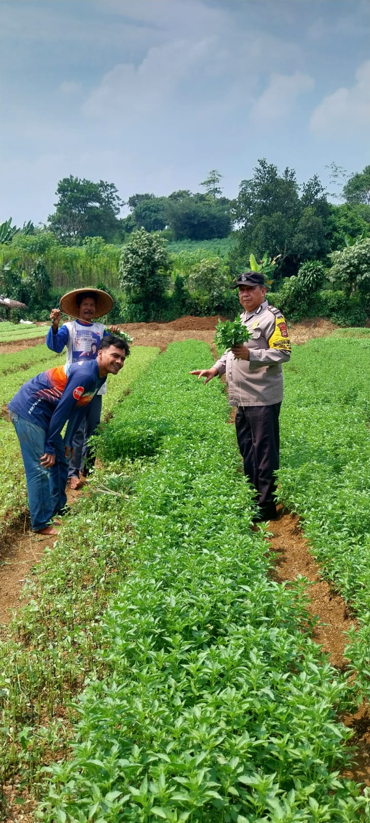 b4413913-af58-4eae-b6be-cc6b5fa3ded1