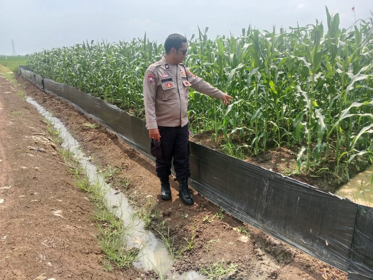 WhatsApp Image 2025-10-06 at 12.49.09