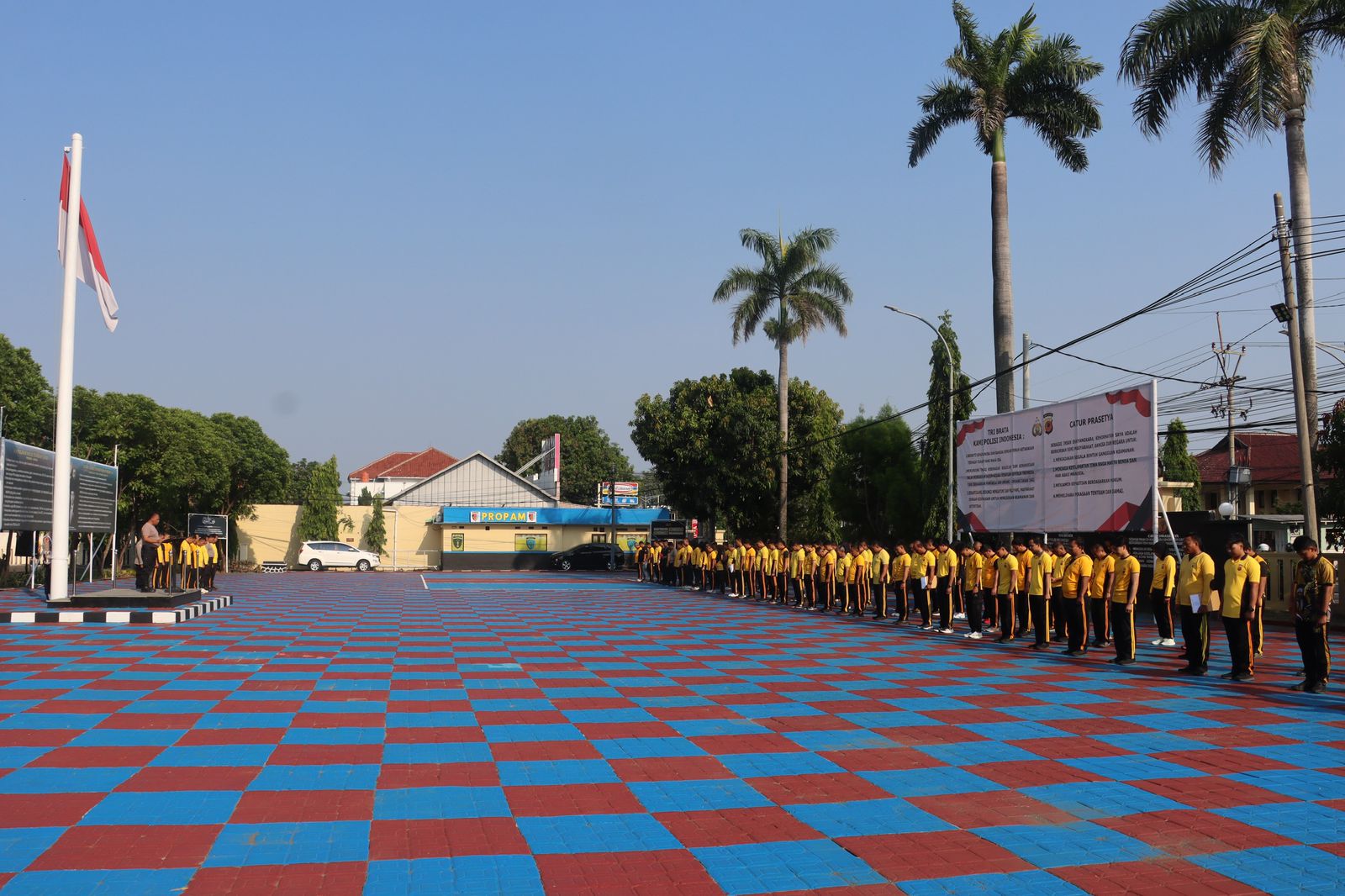 WhatsApp Image 2025-10-10 at 09.00.36