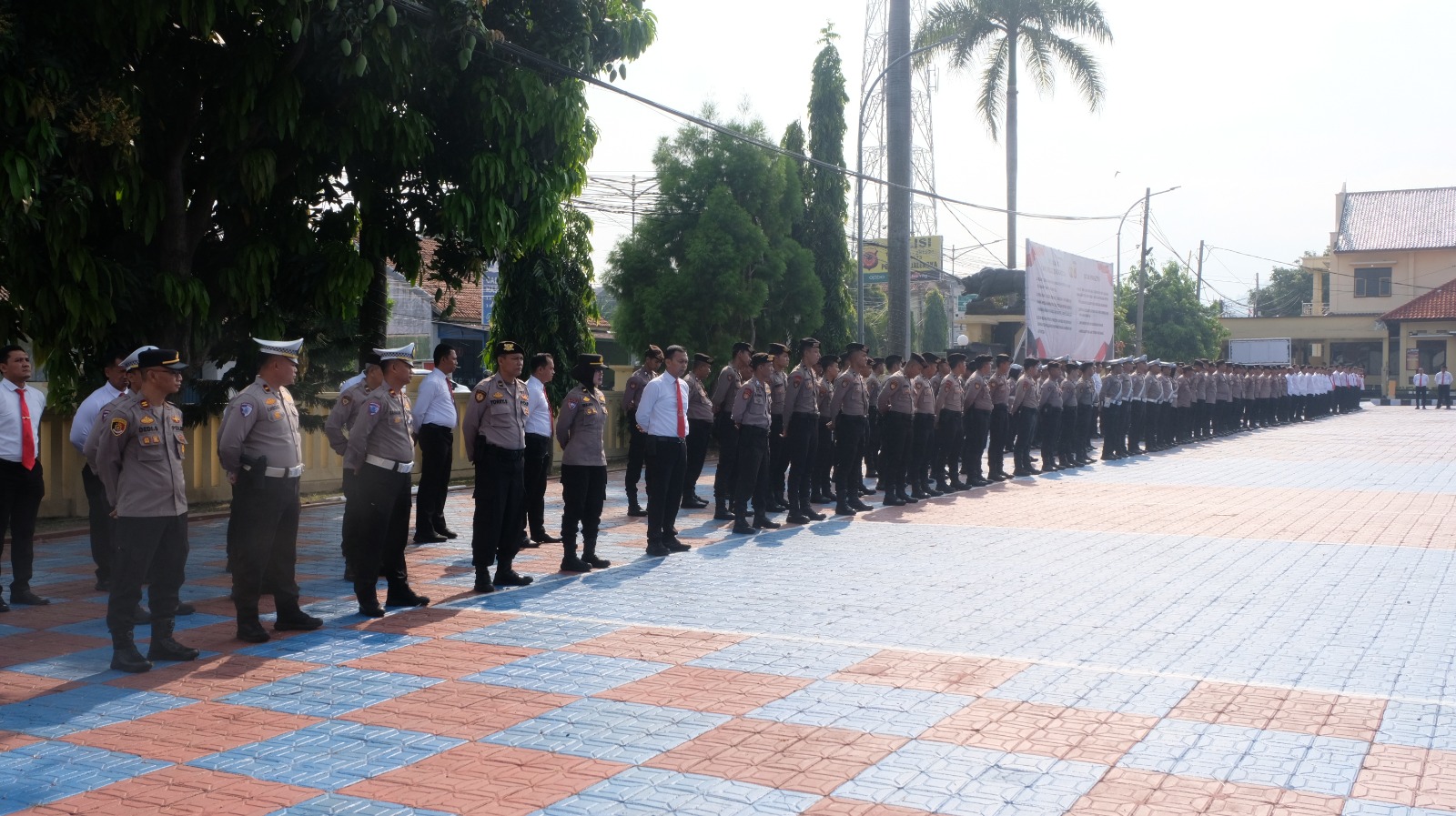 WhatsApp Image 2025-10-20 at 09.41.19