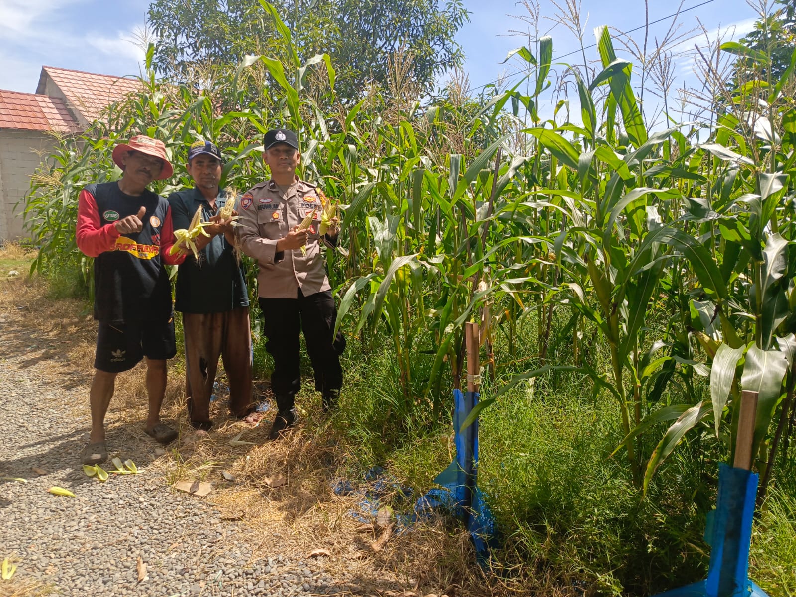 WhatsApp Image 2025-10-24 at 10.27.53